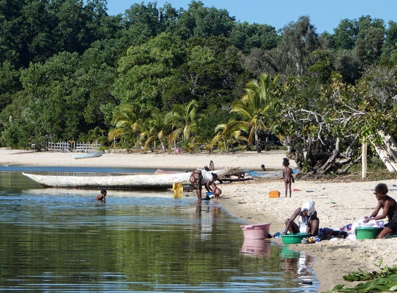 Forêt Andasibe