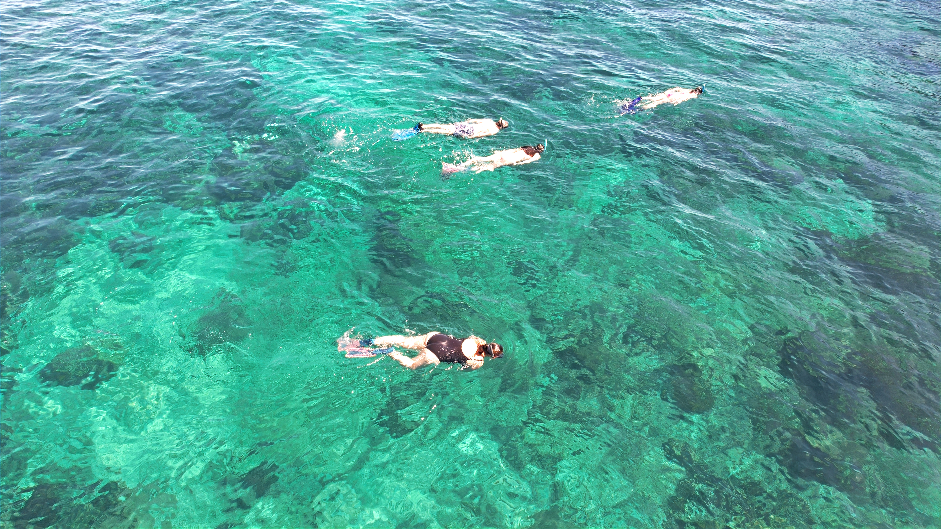 Lagon